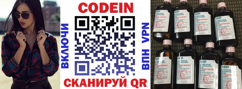 mega как войти  Петропавловск-Камчатский  Кодеин напиток Lean (лин)  цена наркотик 