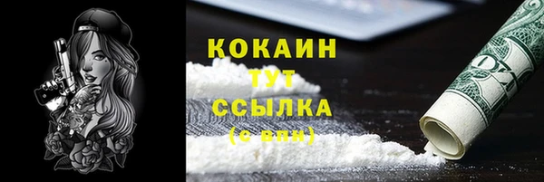 гашик Арсеньев