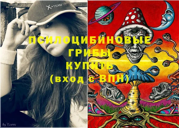 дурь Алексеевка