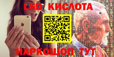прущие крисы Гатчина