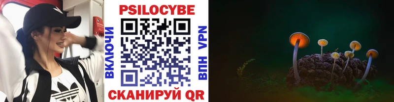 Псилоцибиновые грибы Psilocybine cubensis  это телеграм  Петропавловск-Камчатский  как найти закладки 
