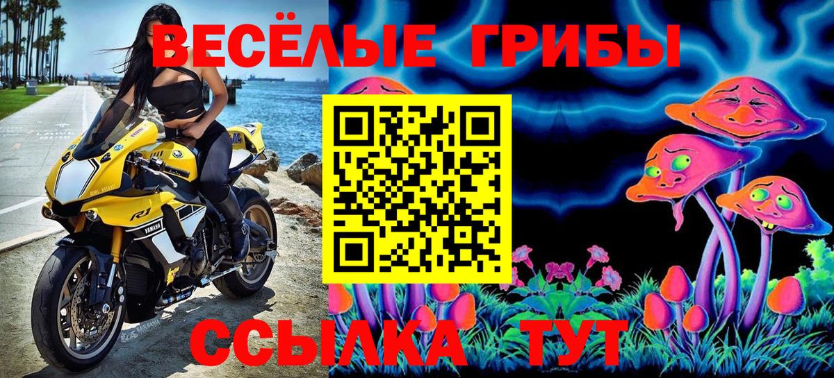 Псилоцибиновые грибы мухоморы Петропавловск-Камчатский